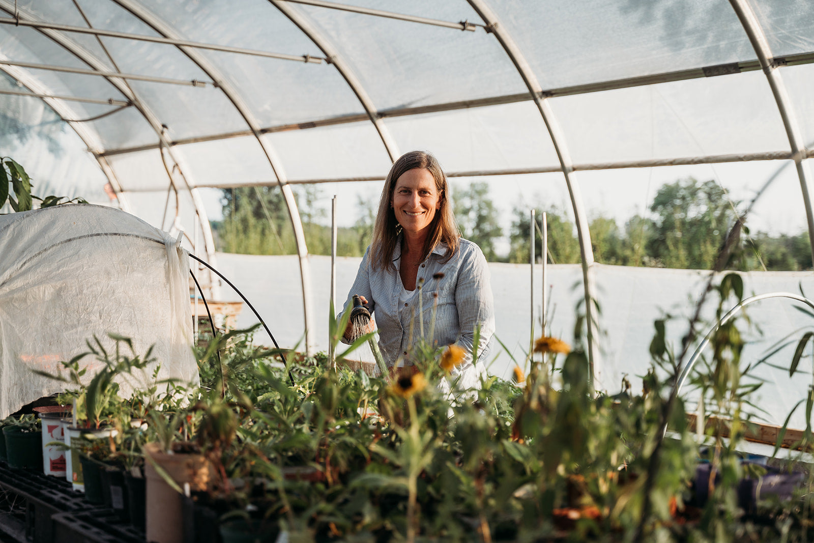 AG Flower Seeds | Owner, Amy, standing inside her greenhouse watering plants