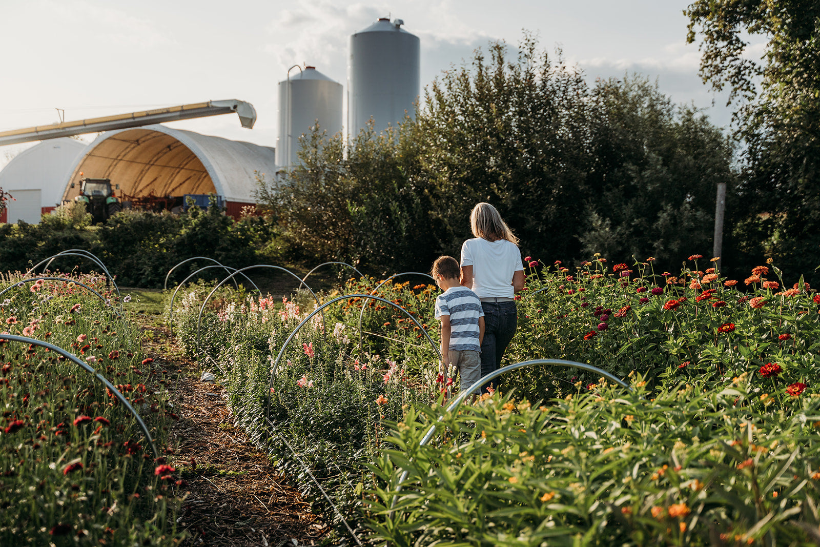 AG Flower Seeds | Owner, Amy, through a field of flowers with her sone with farm silos in the background