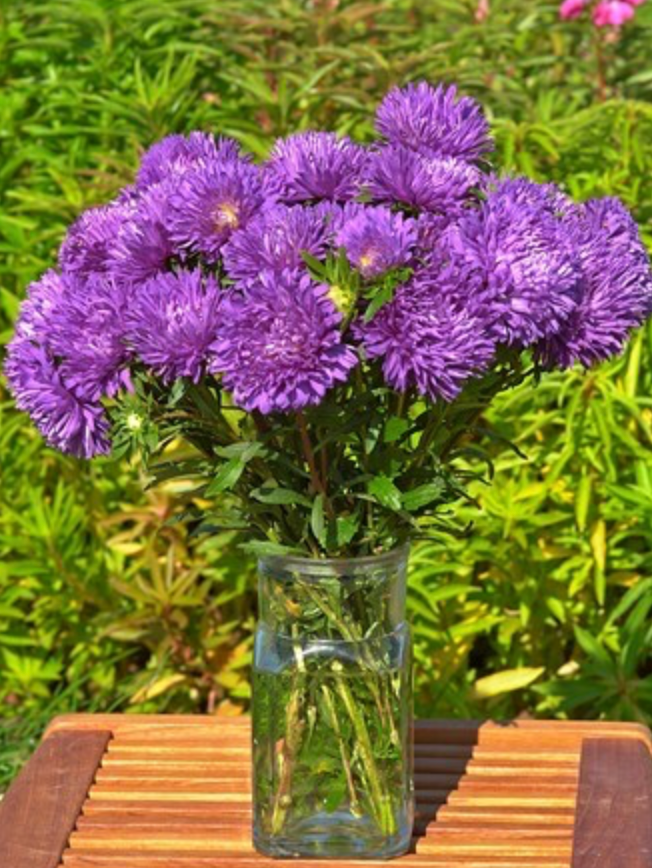 Aster - King Size Mid Blue