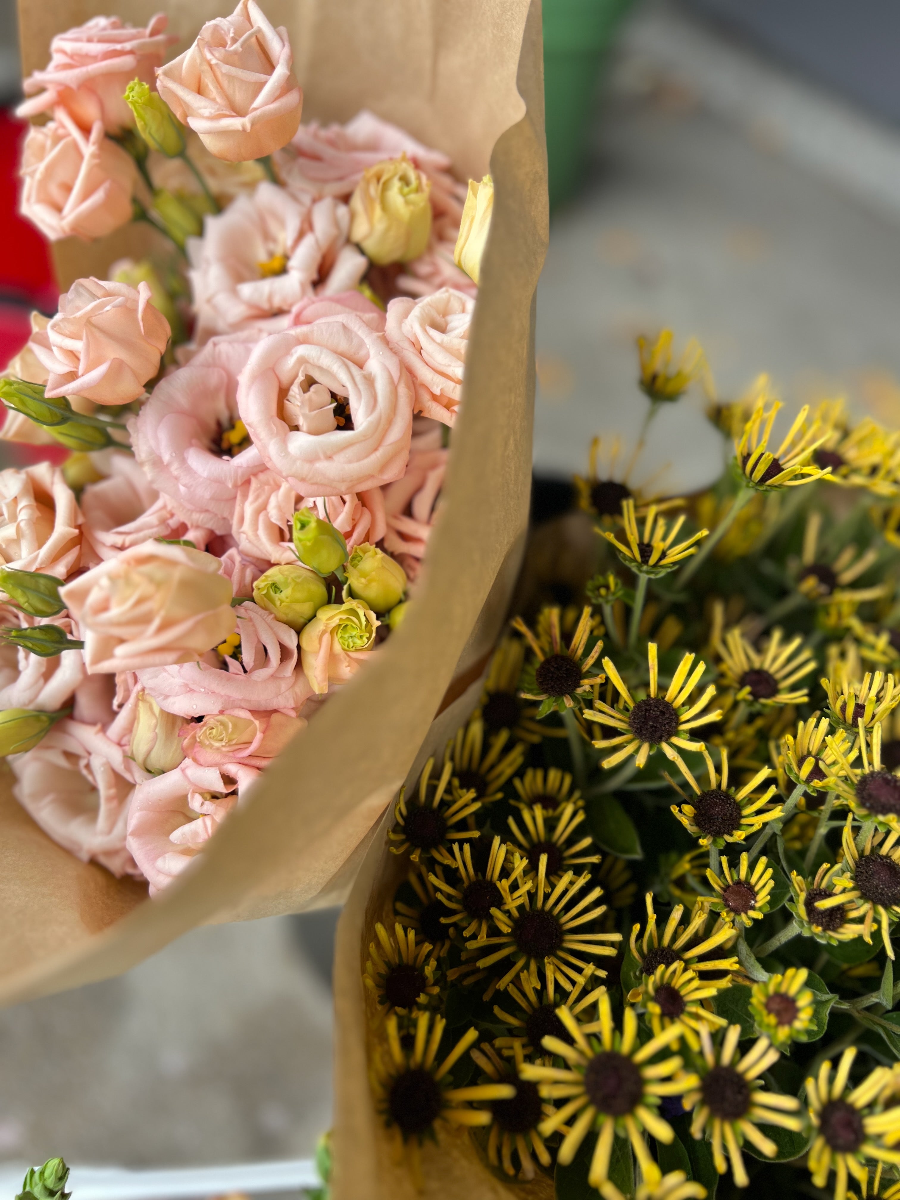 Lisianthus - LisAdora® Apricot III