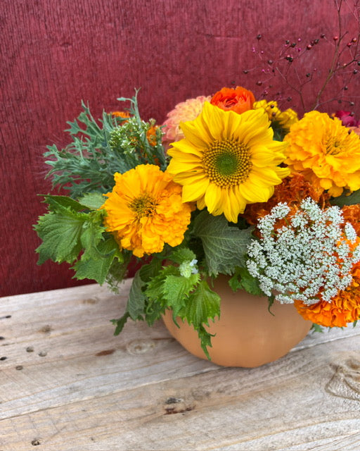 Sunflowers – AG Flower Seeds