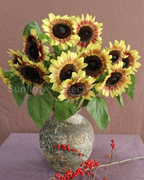 Sunflower - ProCut Red Lemon Bicolor