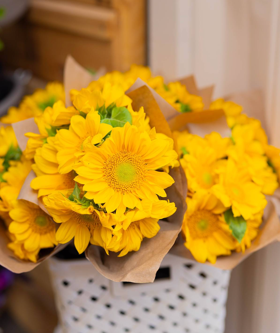 Sunflower - ProCut Gold Lite DMR