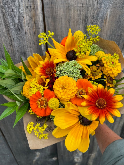 Zinnia - Oklahoma Golden Yellow
